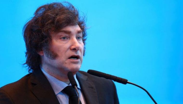 Why is Milei escalating Argentina's Falklands claim now?