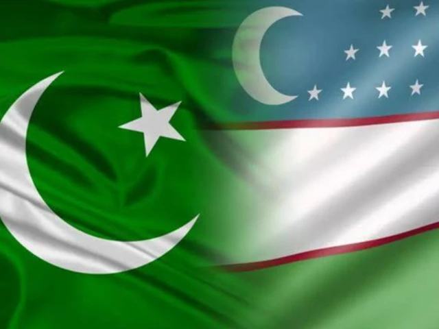 'Significant scope' in Pakistan-Uzbekistan energy cooperation