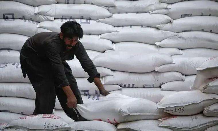 Does Pakistan genuinely have enough surplus sugar to export?