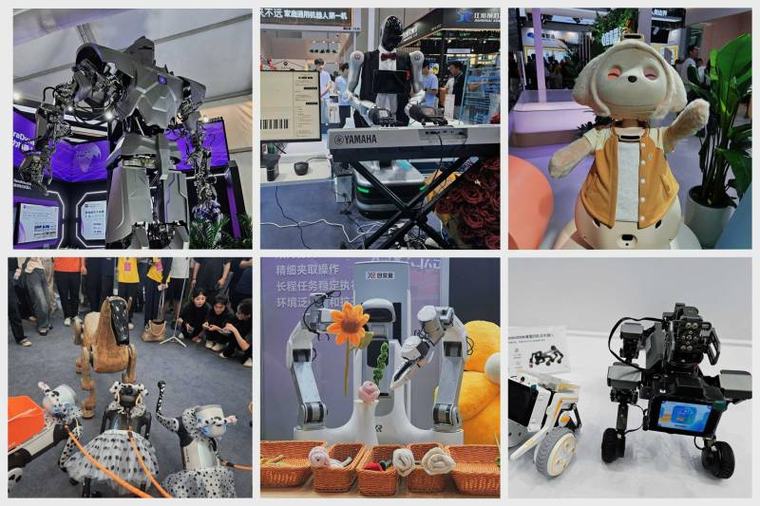 Chinese company making robots cheaper, renting them out