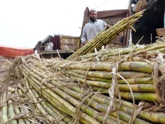 Growers demand free sugar market